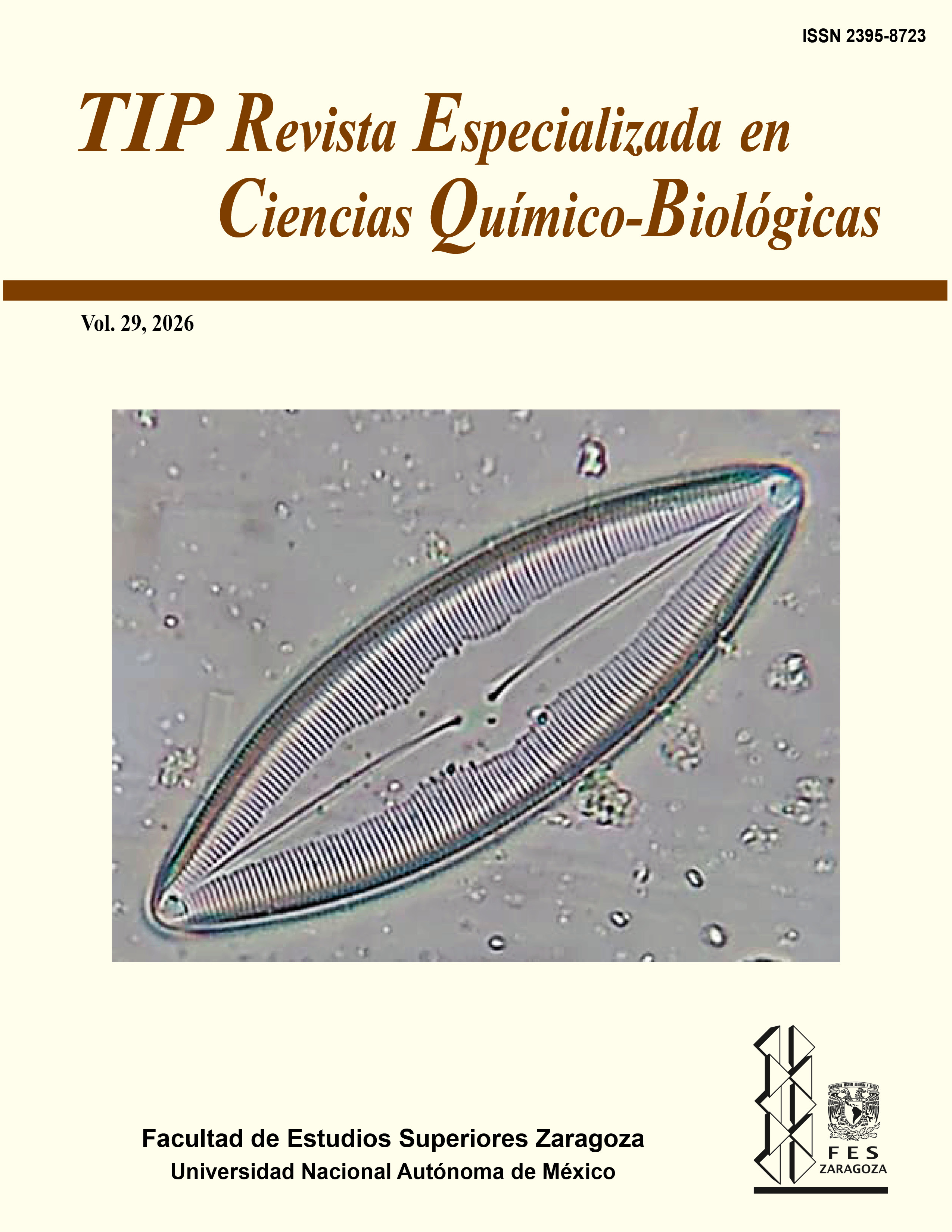 Caloneis amphisbaena var. subsalina, recolectada en la laguna costera "San José el Hueyate", Chiapas, México (fotografía tomada por Néstor Barrios Morales en el Centro de Investigación de los Sistemas Costeros y Continentales, Universidad Autónoma de Chiapas).